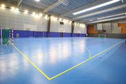  Cпортивные пвх покрытия Tarkett Omnisport